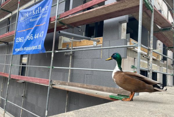 Besuch im Brühl von Erfurt